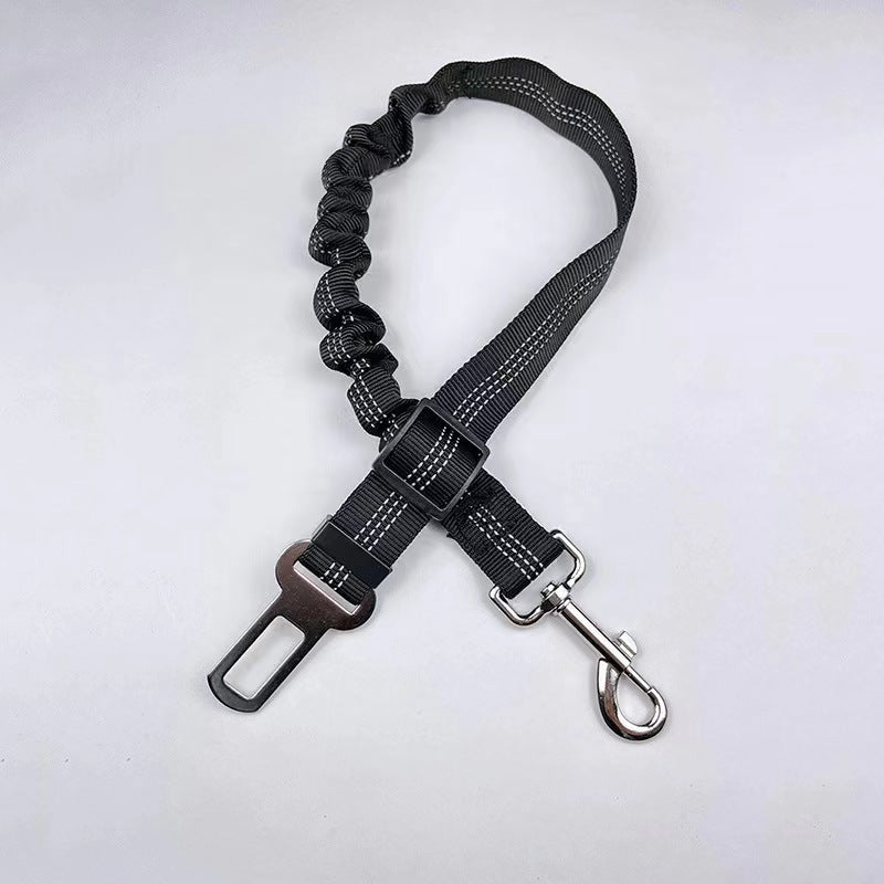 Reflective Bungee Dog Leash & Car Seat Belt