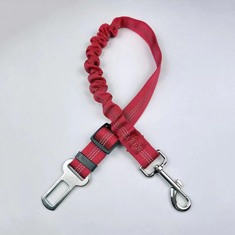 Reflective Bungee Dog Leash & Car Seat Belt