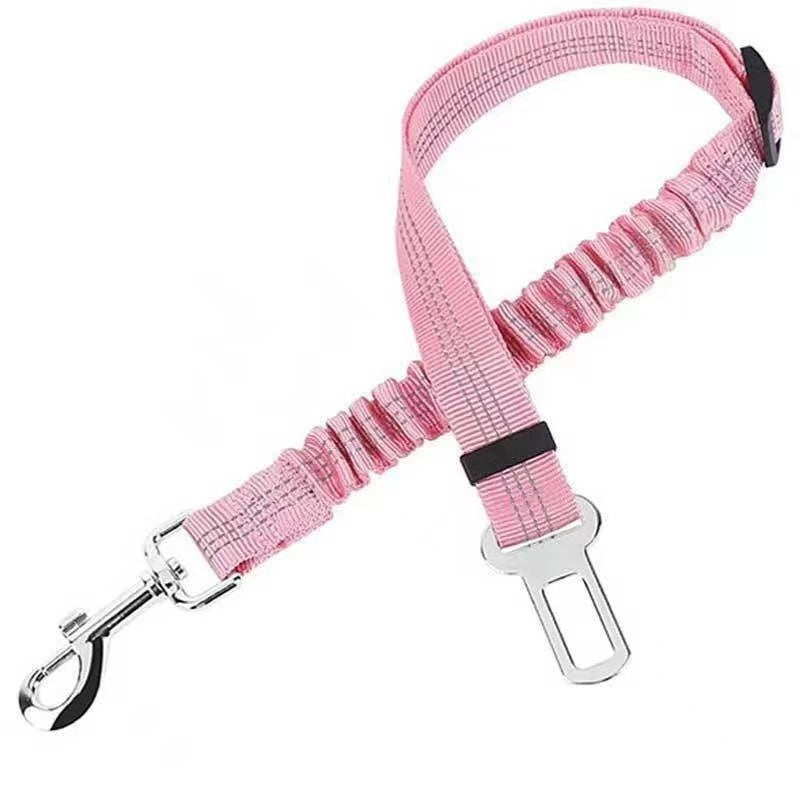 Reflective Bungee Dog Leash & Car Seat Belt