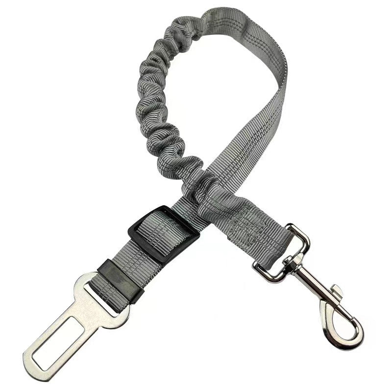 Reflective Bungee Dog Leash & Car Seat Belt