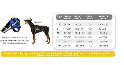 Reflective Dog Harness & Leash Set, XS-XXL
