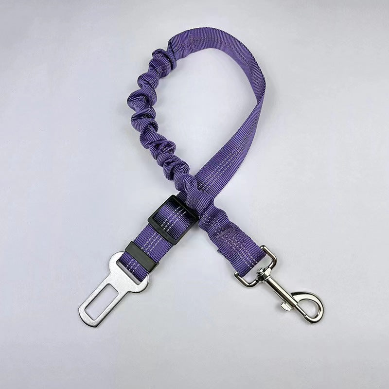 Reflective Bungee Dog Leash & Car Seat Belt