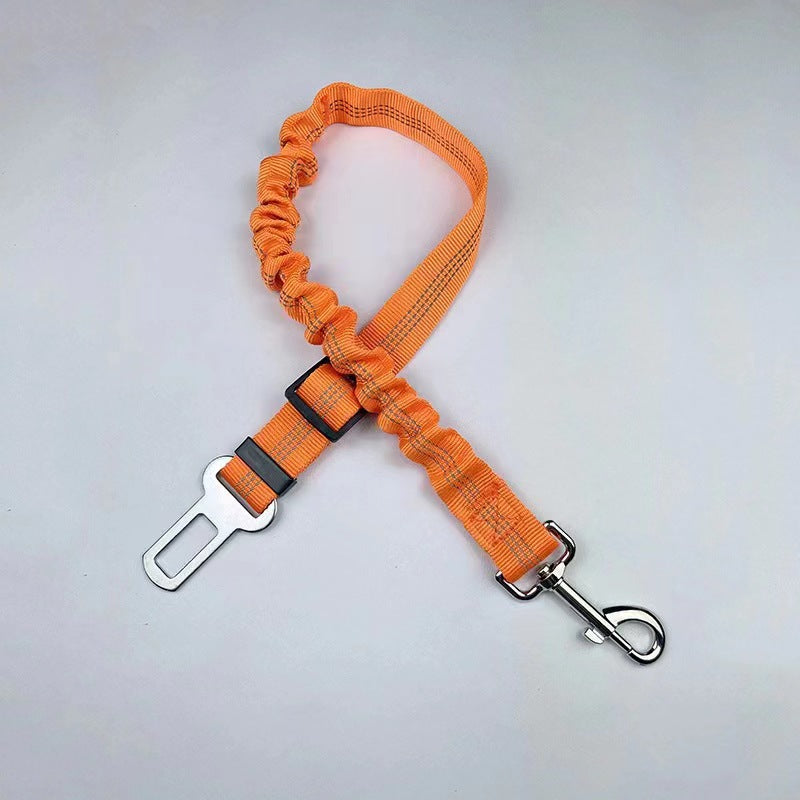 Reflective Bungee Dog Leash & Car Seat Belt