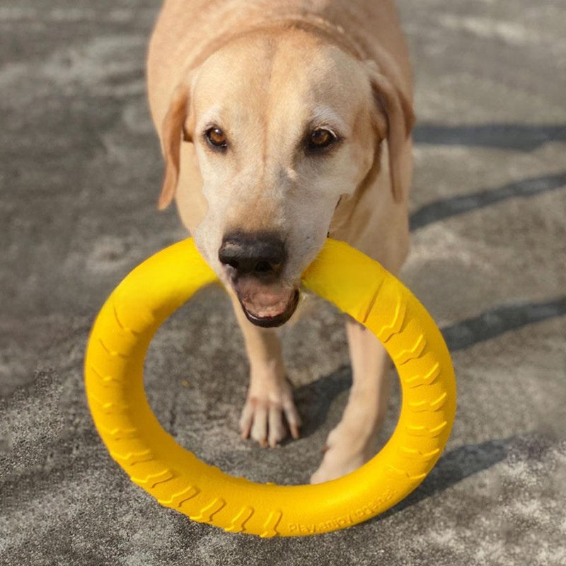 Bite-Resistant EVA Throw & Chew Dog Toy, 18 or 28 cm