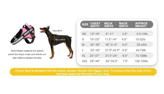 Reflective Dog Harness & Leash Set, XS-XXL