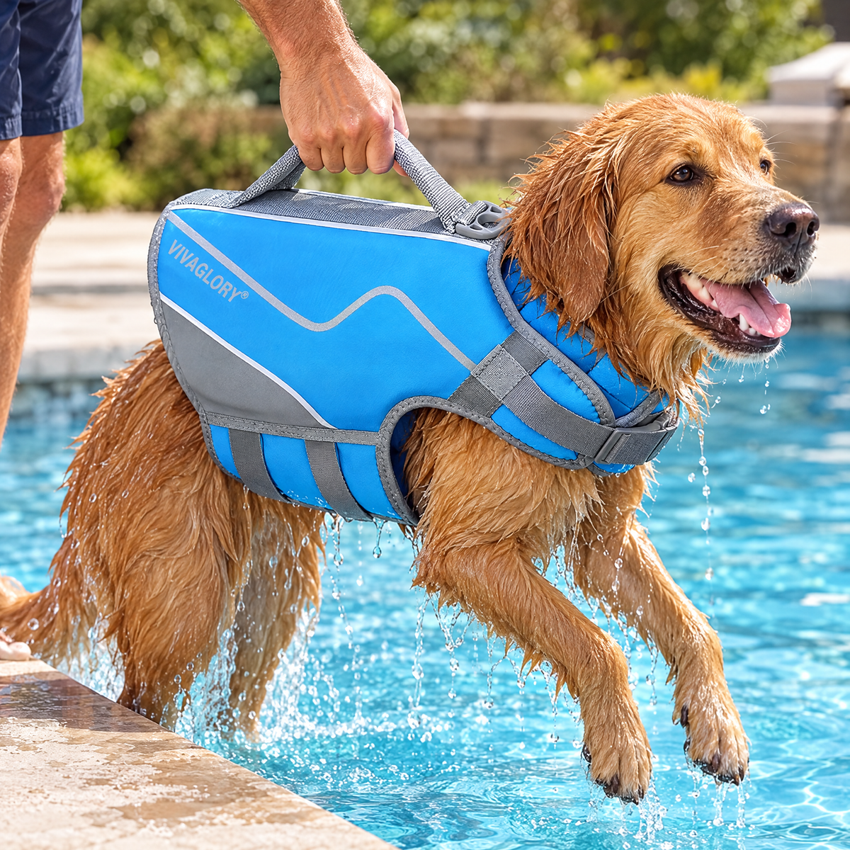 Neoprene dog life vest – lifestyle photo 3