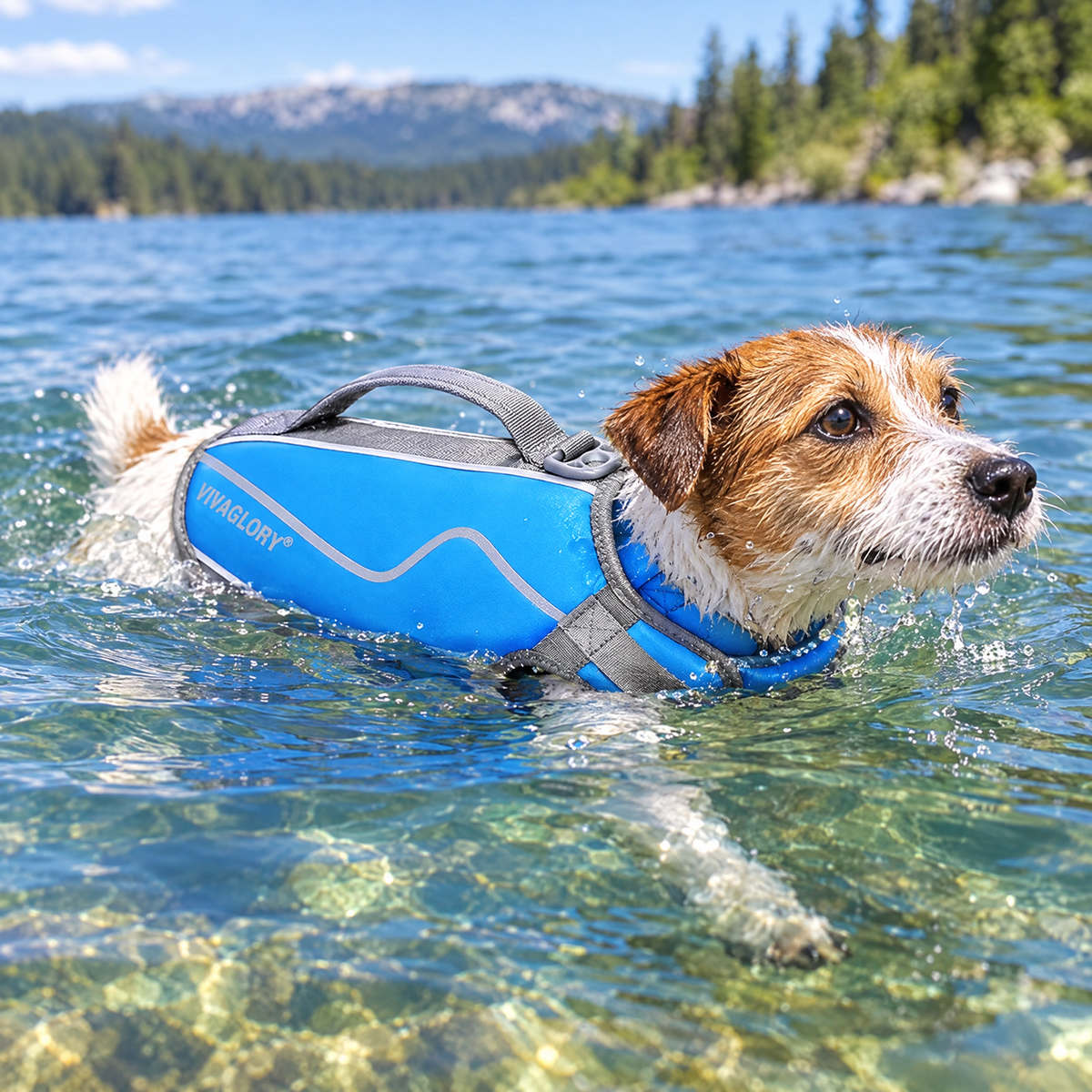 Neoprene dog life vest – lifestyle photo 1