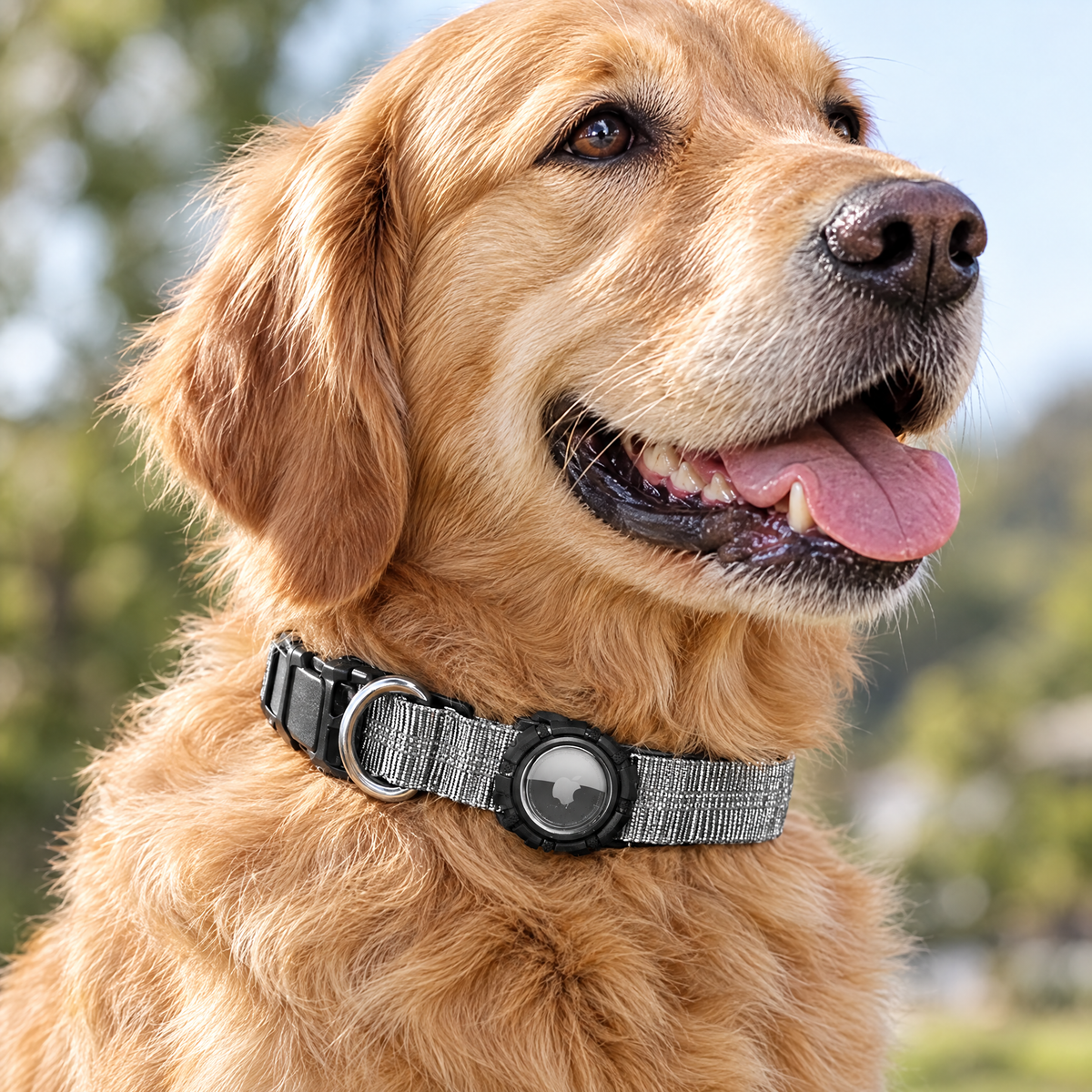 Airtag dog collar – lifestyle photo 2