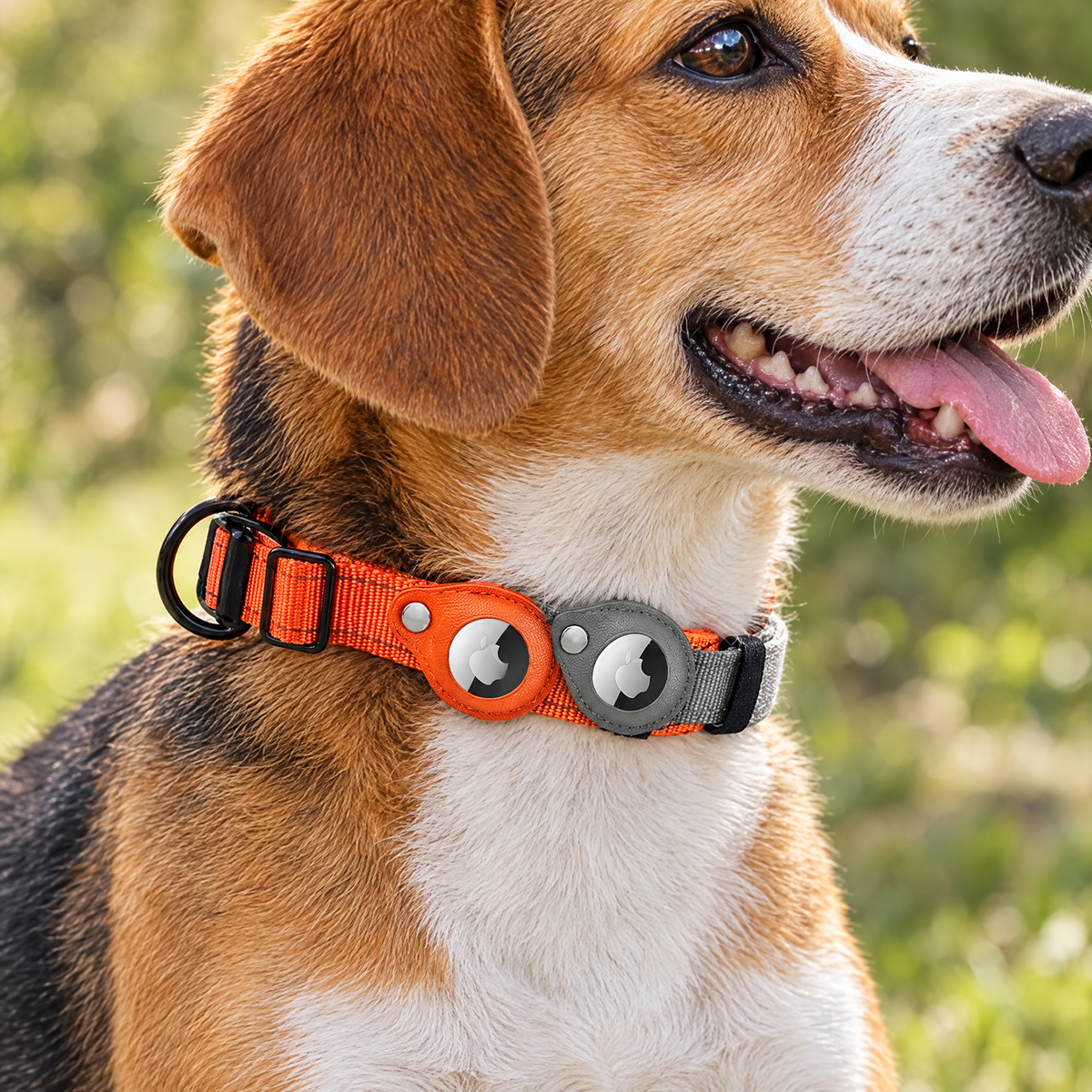 Nylon collar with Airtag holder – lifestyle photo 2