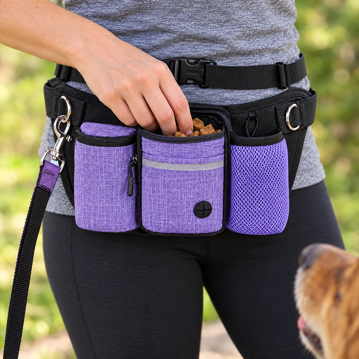 Training waist bag with leash – lifestyle photo 3