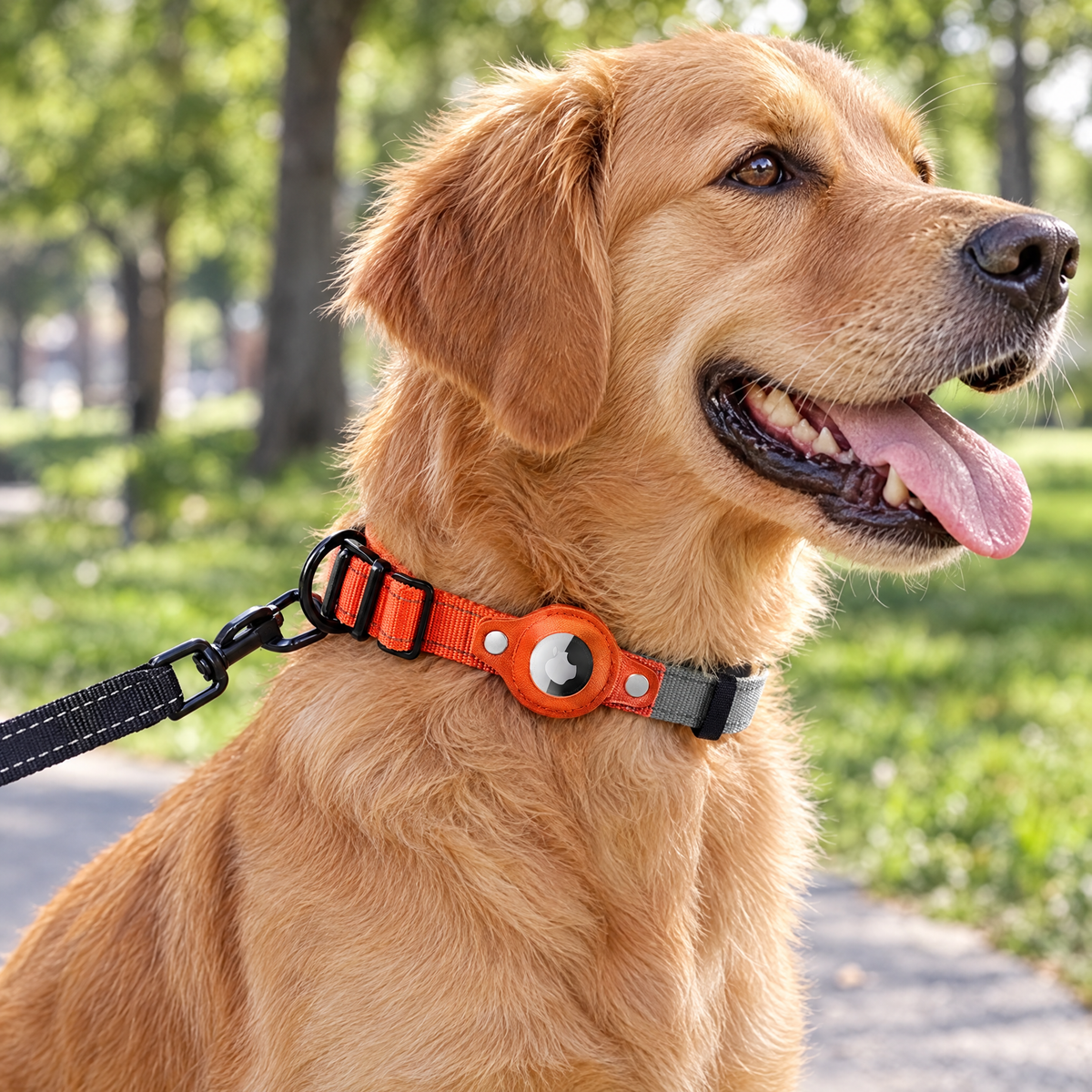 Nylon collar with Airtag holder – lifestyle photo 1