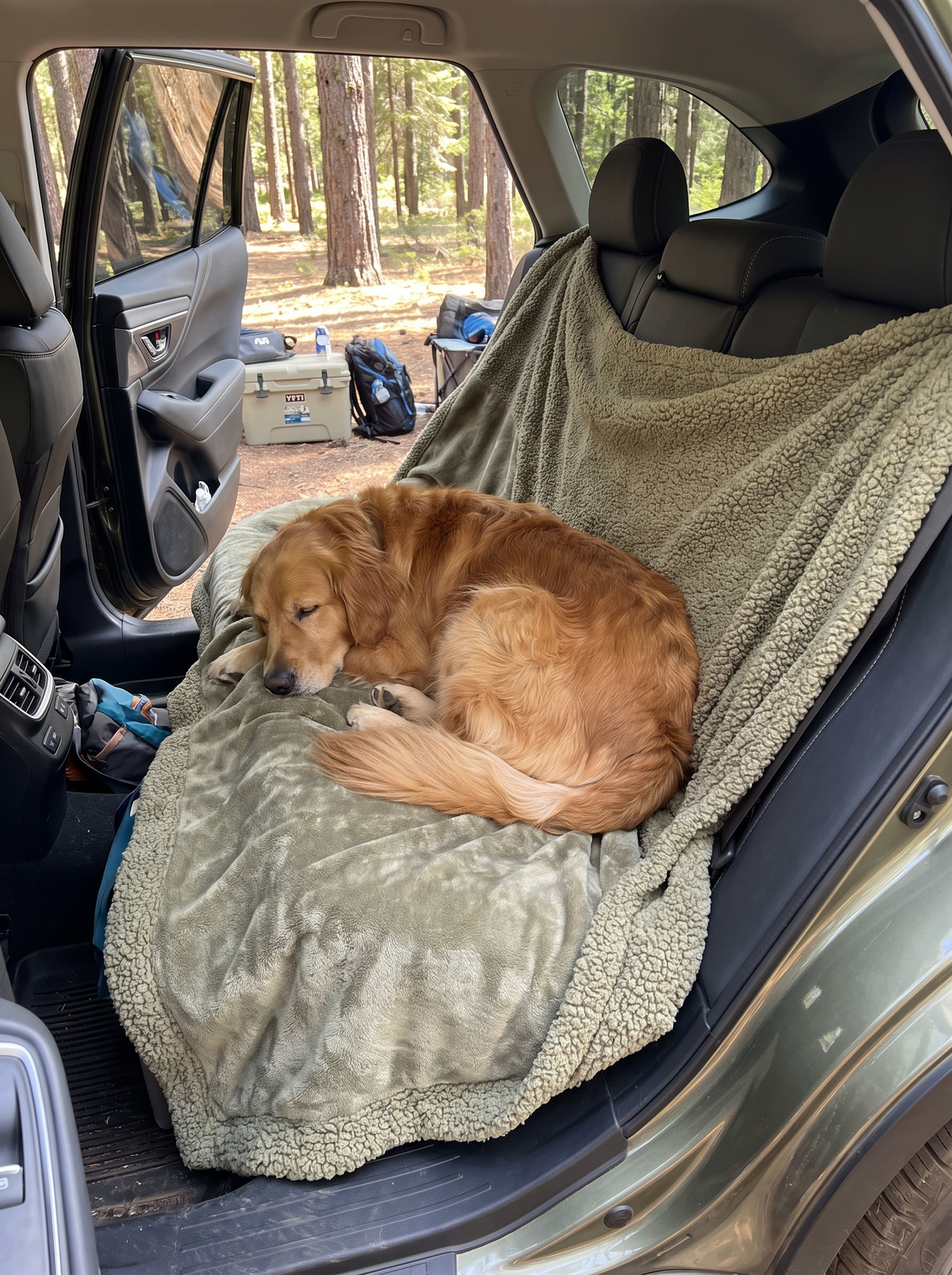 Home, Car or Campsite